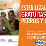 esterilizacion_mascotas